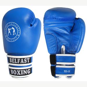 BAG&SPARRING GLOVES